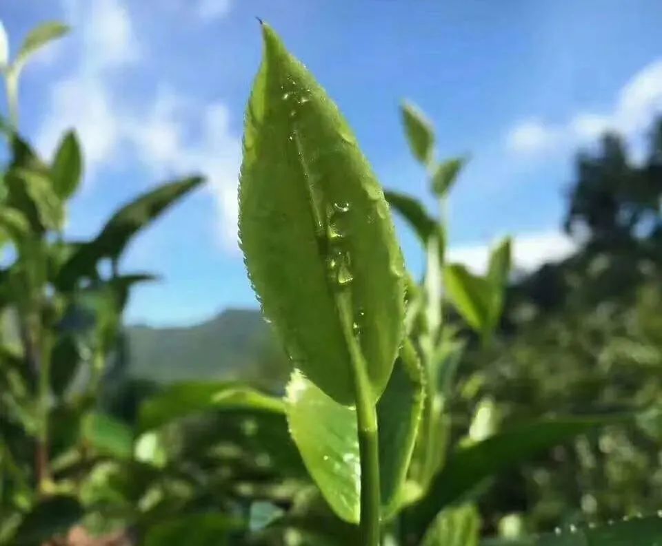 微信圖片_20240718170816.jpg 微信圖片_20240718170816.jpg